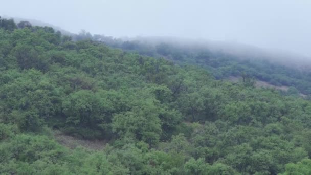 Dağın Tepesinden Manzara — Stok video