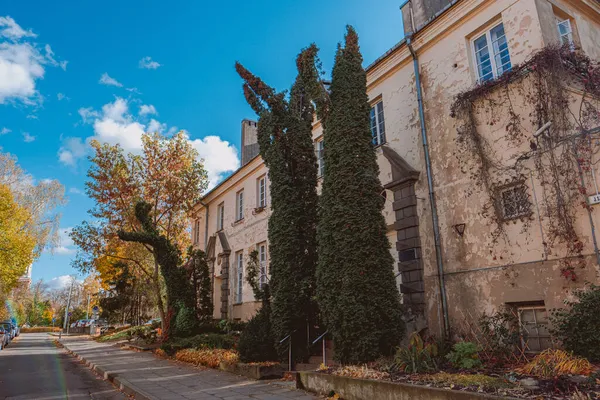 Naturalny Widok Jesiennych Liści Spadł Ziemię Przed Domem — Zdjęcie stockowe