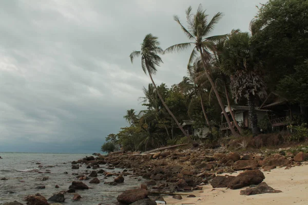 Uma Bela Praia Tropical Com Palmas Costa Rochosa Tailândia — Fotografia de Stock