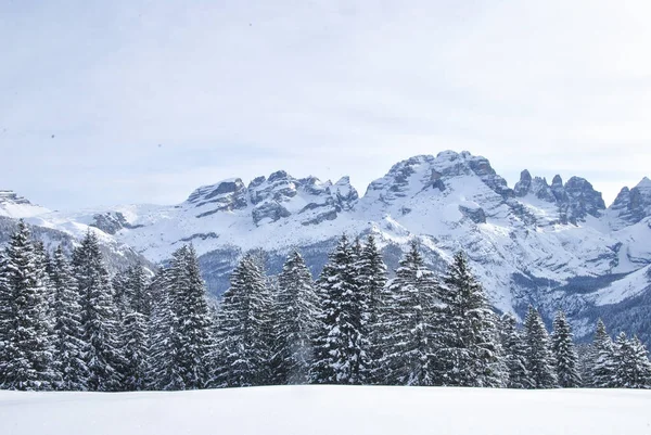 Una Splendida Vista Sulle Dolomiti Brenta Con Neve Sugli Alberi — Foto Stock