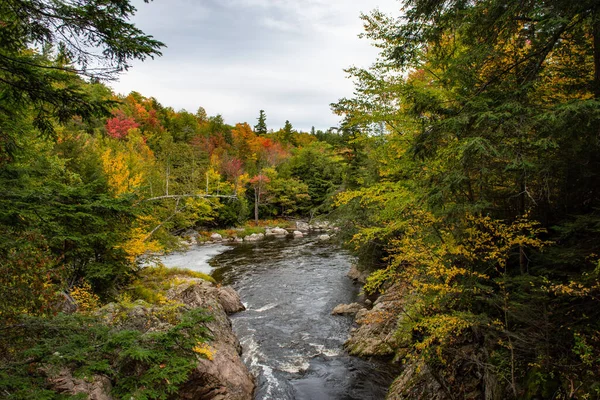 Μια Φυσική Θέα Του Ρέοντος Ποταμού Κατά Μήκος Φθινοπωρινών Δέντρων — Φωτογραφία Αρχείου