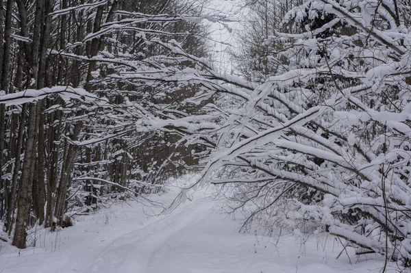 Beau Paysage Hivernal Plein Jour — Photo