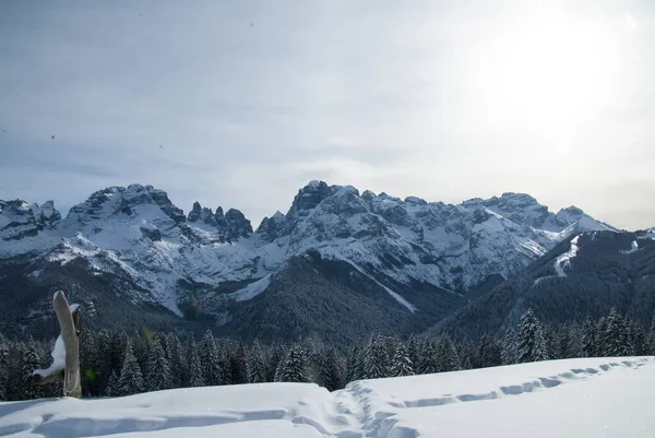 Krásný Výhled Brenta Dolomity Sněhem Stromech Alpy Madonna Campiglio Pinzolo — Stock fotografie