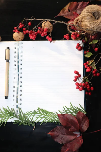 Blank Notebook Pen Autumn Decorations Black Background — Foto Stock