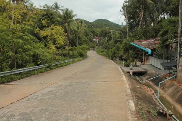 Eine Straße Umgeben Von Üppiger Tropischer Natur Thailand — Stockfoto