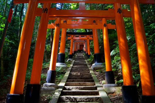 Vue Sentier Fushimi Inari Avec Portes Orange Kyoto Japon — Photo