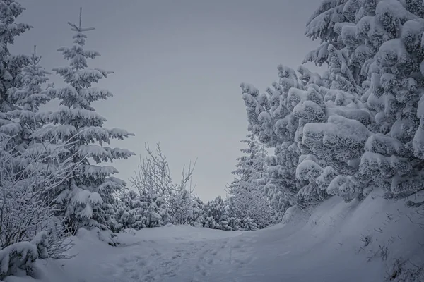 Дивовижна Сцена Високих Гір Татри Холодну Погоду Снігопад Польщі — стокове фото