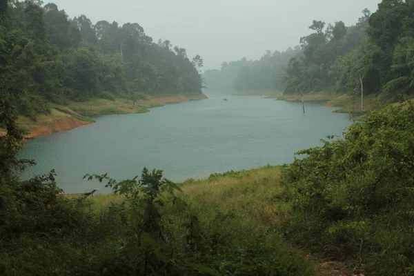 Uma Bela Paisagem Com Lago Floresta Tropical Khao Sok Tailândia — Fotografia de Stock