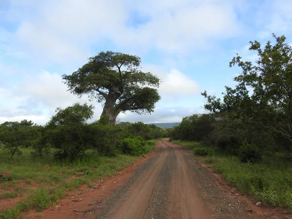 Beautiful View Kruger National Park South Africa — Zdjęcie stockowe