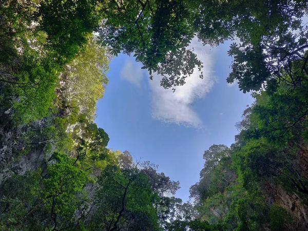 Uma Bela Vista Das Árvores Formando Forma Coração Com Céu — Fotografia de Stock