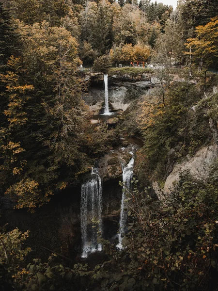 Tiro Vertical Uma Cachoeira Uma Floresta Outono — Fotografia de Stock