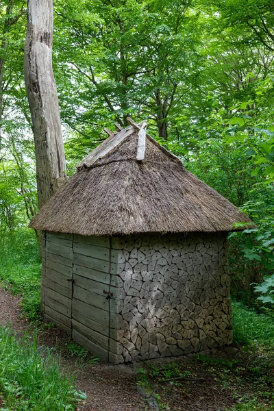 Een Verticaal Schot Van Een Oude Kleine Houten Hut Het — Stockfoto