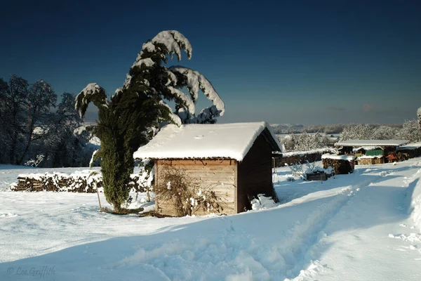 在冬日的景色下 一个被雪环绕的棚屋 — 图库照片