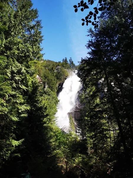 Vertical Shot Shannon Falls Squamish British Columbia Canada — Stock fotografie
