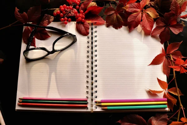 Blank Notebook Pencils Eyeglasses Autumn Decorations Black Background — Photo