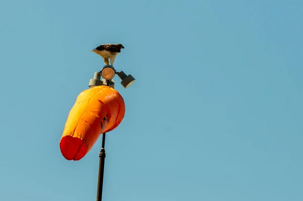 Orange Flygplats Vindstrumpa Med Blå Himmel — Stockfoto