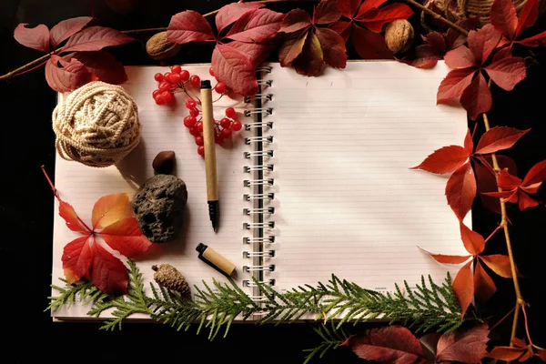 Blank Notebook Pen Autumn Decorations Black Background — Foto Stock