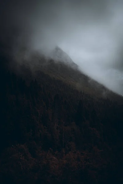 Vertical Shot Hill Covered Forest Fog Rainy Day Countryside — ストック写真