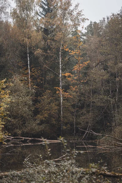 Beautiful View Lake Autumn Forest — Photo
