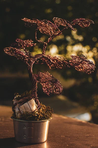 Eine Vertikale Aufnahme Einer Pflanze Einem Topf Auf Einer Straße — Stockfoto