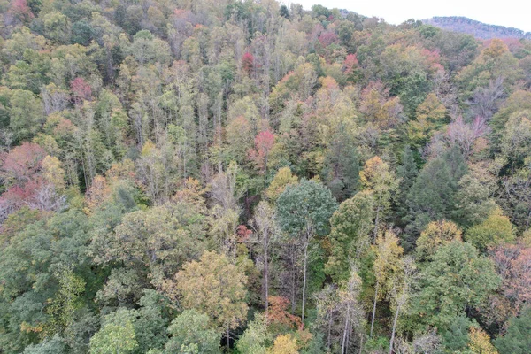 웨스트버지니아주 의가을에 삼림의 아름다운 — 스톡 사진