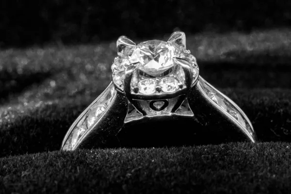 Gråskala Elegant Ring Mørk Ringeske – stockfoto