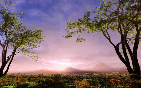 Вид Візуалізацію Красивому Лузі Довгих Деревах Свіжа Трава Під Хмарним — стокове фото