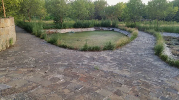 公园中央一个美丽的池塘 布满了植物和树木 — 图库照片