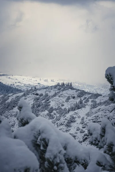 Breathtaking Scene High Tatra Mountains Cold Weather Snowing Poland — Stockfoto