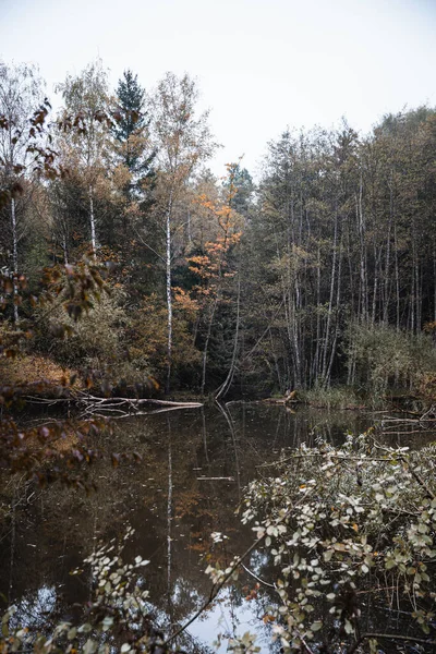 Beautiful View Lake Autumn Forest — Zdjęcie stockowe