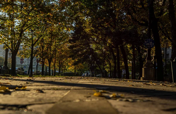 Droga Jesiennym Parku Ciągu Dnia — Zdjęcie stockowe