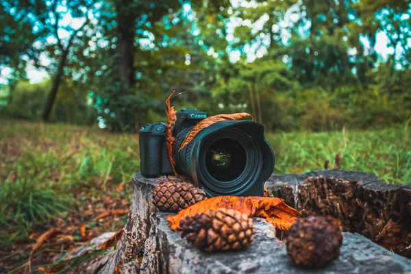 Bukarest Rumänien August 2021 Eine Dslr Kamera Mit Herbstlaub Wald — Stockfoto