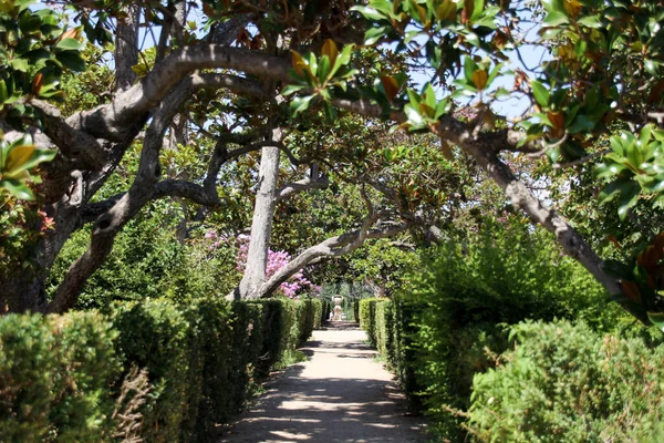 Scenic View Path Garden Surrounded Nature — Stockfoto