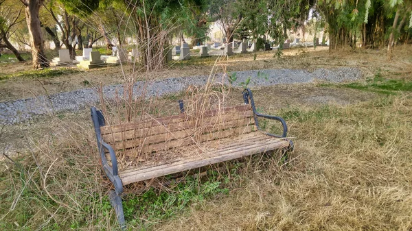 通路の横に公園で草を栽培している古いと空のベンチ — ストック写真