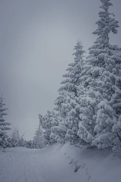 Beautiful Shot Top High Tatra Mountains Cold Weather Poland — Stockfoto