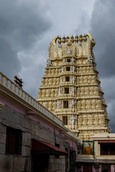 Een Verticaal Schot Van Chennakeshava Tempel Extern Uitzicht Tegen Een — Stockfoto