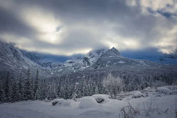 Breathtaking Scene High Tatra Mountains Cold Weather Snowing Poland — стоковое фото