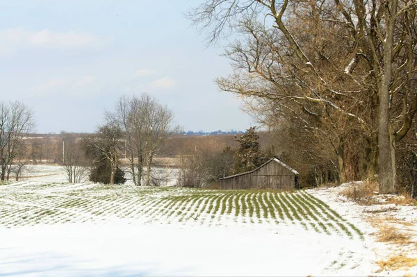 Een Prachtig Uitzicht Een Winterlandschap Omringd Door Droge Bomen Bedekt — Stockfoto