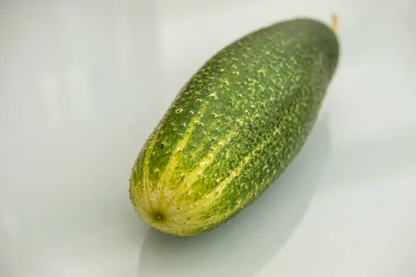 Fresh Cucumber White Reflective Surface — Stok fotoğraf