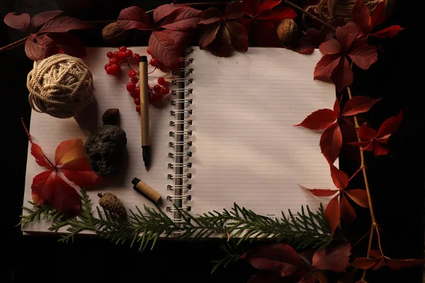 Blank Notebook Pen Autumn Decorations Black Background — Photo