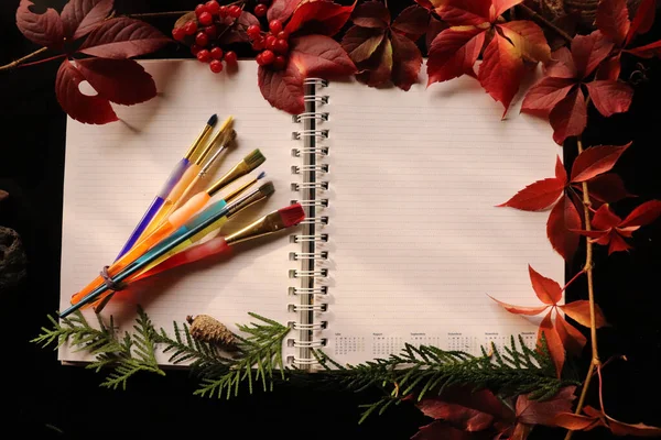 Blank Notebook Paint Brushes Autumn Decorations Black Background — Foto Stock