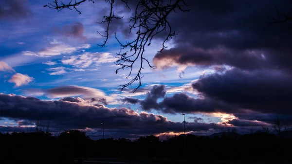 Scenic View Tree Branches Sunset Sky Background — Fotografia de Stock