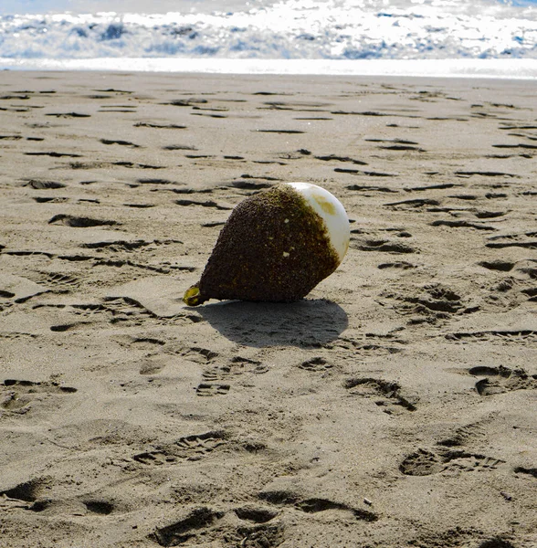 White Buoy Covered Sand Beach — Stock Photo, Image