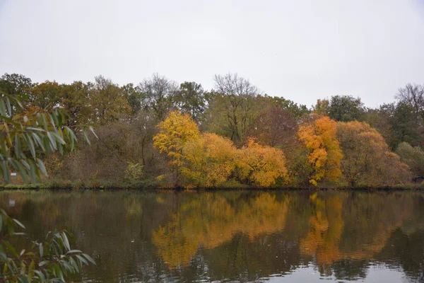 Autumn Trees Reflection Lake Schweinfurt Germany — Fotografia de Stock