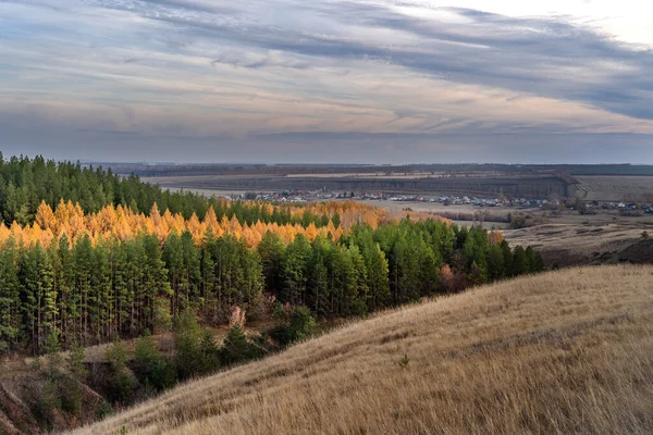 Ett Vackert Höstlandskap Med Täta Träd Skogen Dramatisk Himmel — Stockfoto