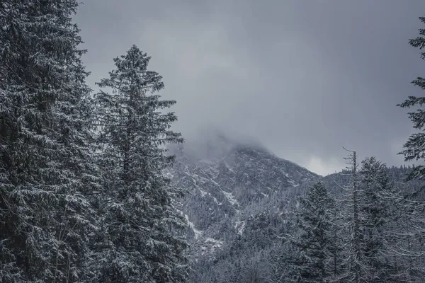 Una Vista Escalofriante Las Montañas Occidentales Tatra Polonia Durante Invierno — Foto de Stock