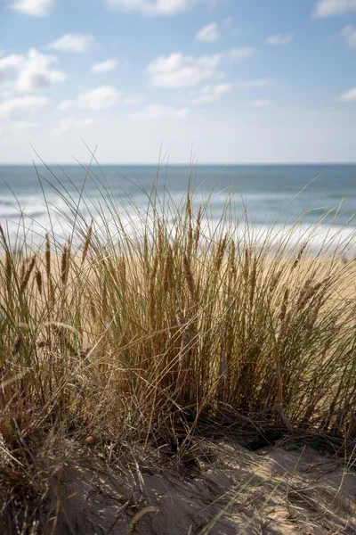 Beau Paysage Marin Ondulé Par Une Journée Ensoleillée — Photo