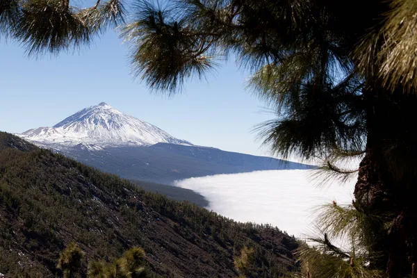 Parque Natural Corona Forestal España — Foto de Stock