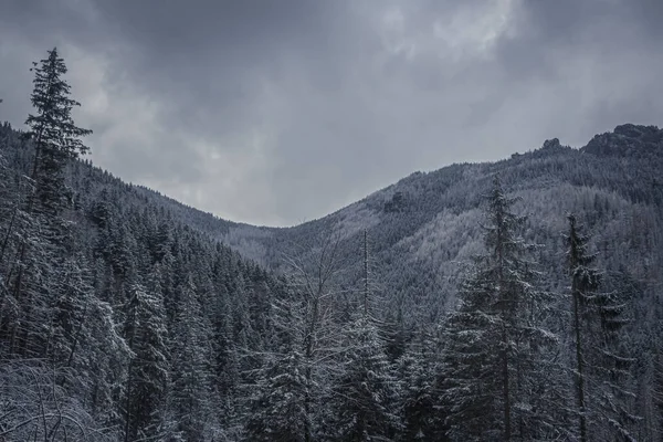 Una Vista Escalofriante Las Montañas Occidentales Tatra Polonia Durante Invierno — Foto de Stock