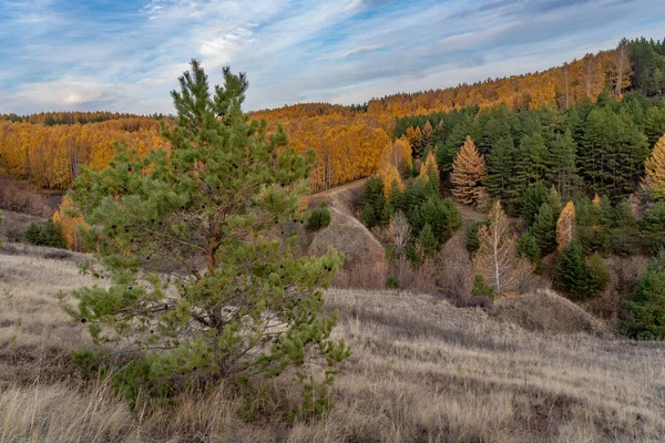 Uma Bela Paisagem Outono Com Árvores Densas Floresta Sob Céu — Fotografia de Stock
